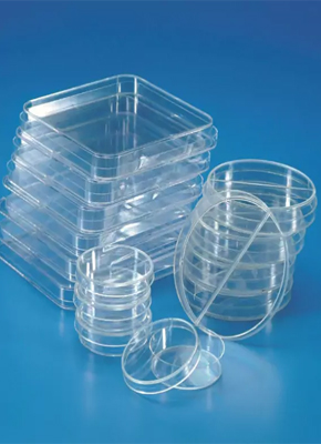 Microbiology And Histology